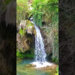 CELLULAR HEALING NATURE VISUALIZATION CELLULAR HEALING NATURE VISUALIZATION